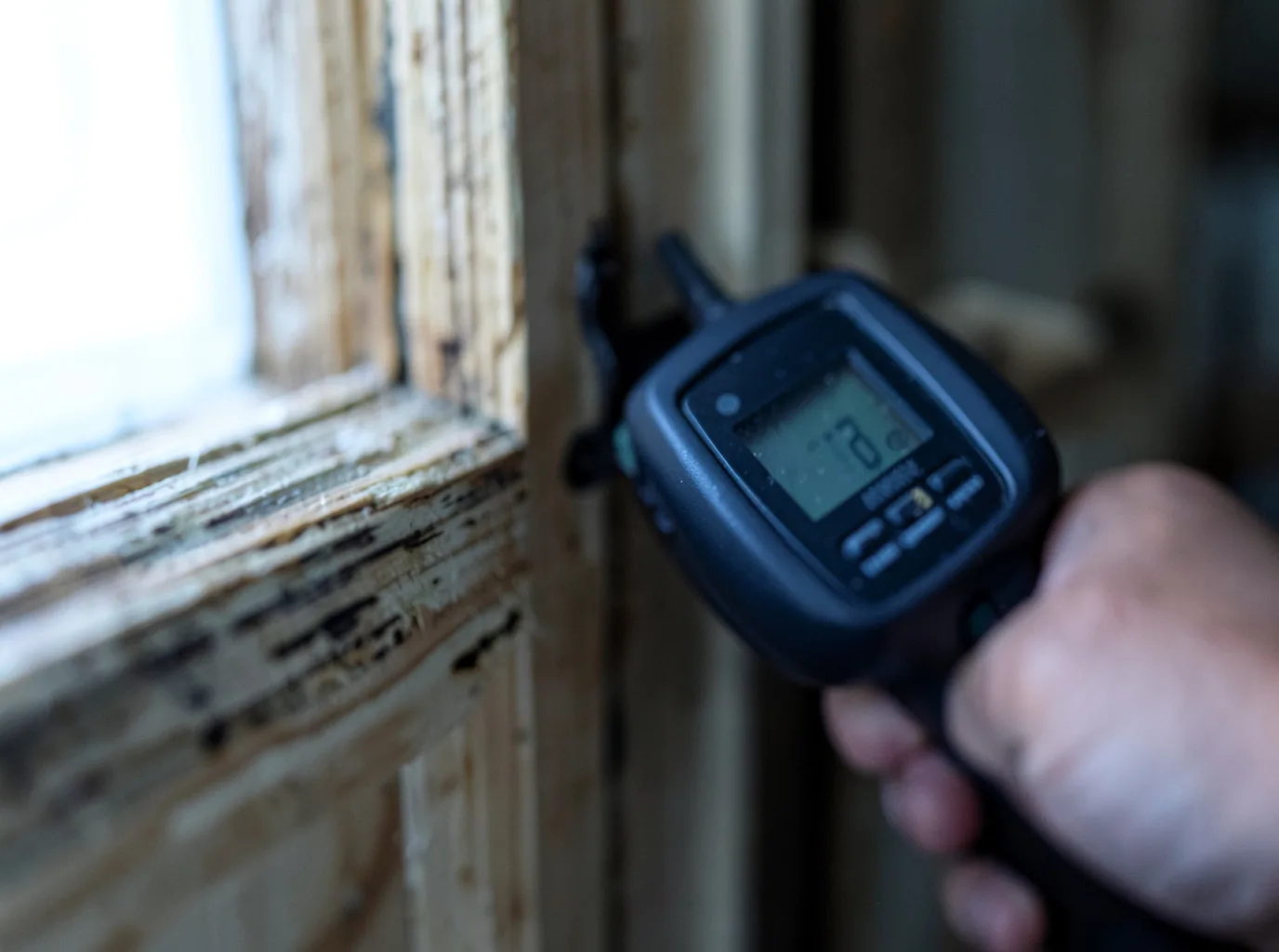 Insurance Claim Documentation in Reardan, WA